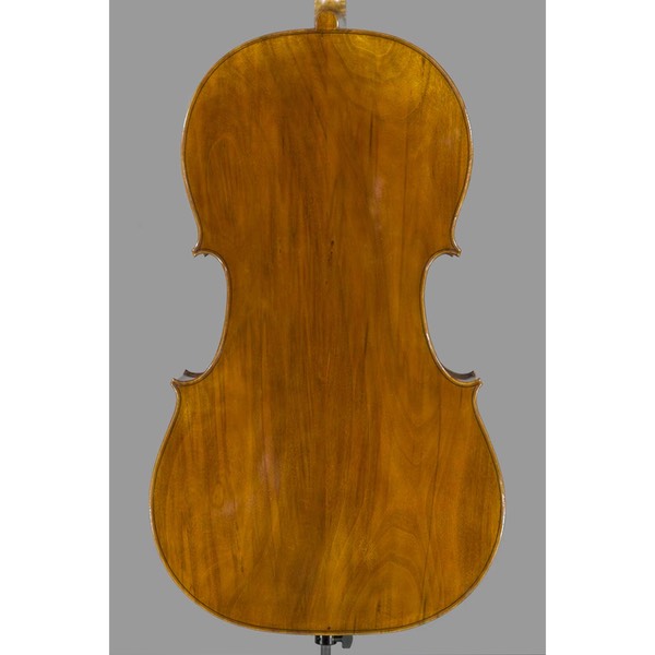 Photo of Polstein & White Rugeri model 'cello back