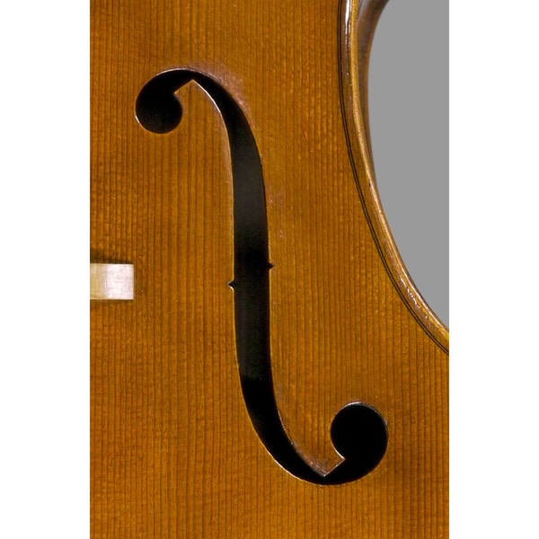 Photo of Polstein & White Rugeri model 'cello f hole