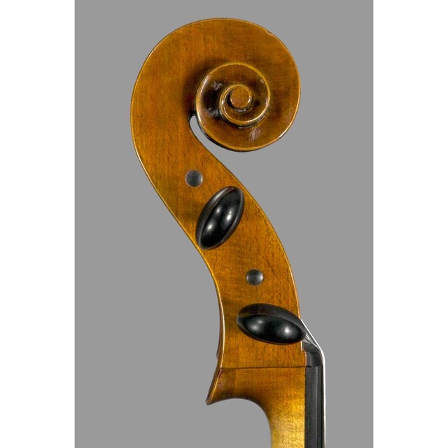 Photo of Polstein & White Rugeri model 'cello scroll side