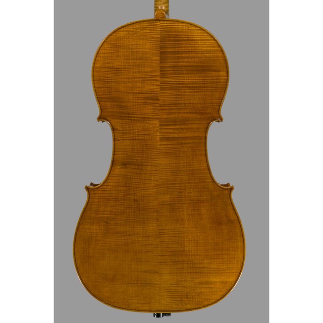 Photo of Polstein & White Strad cello back