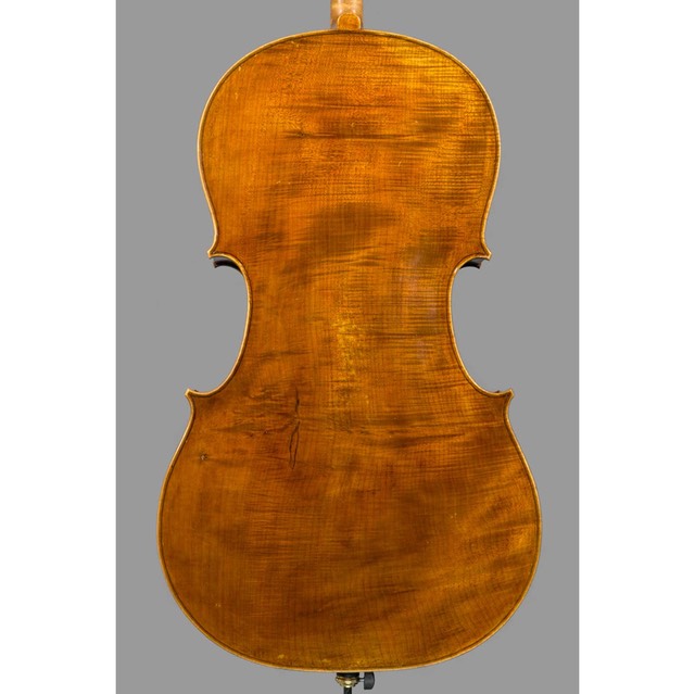 Photo of Polstein & White Gofriller model 'cello back