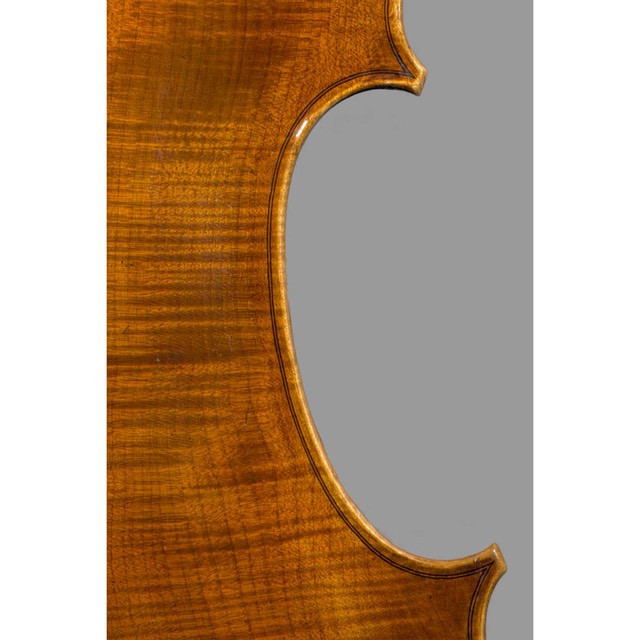 Photo of Polstein & White Gofriller model 'cello back c bout