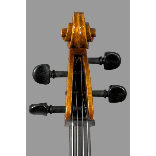 Photo of Polstein & White Gofriller model 'cello scroll front