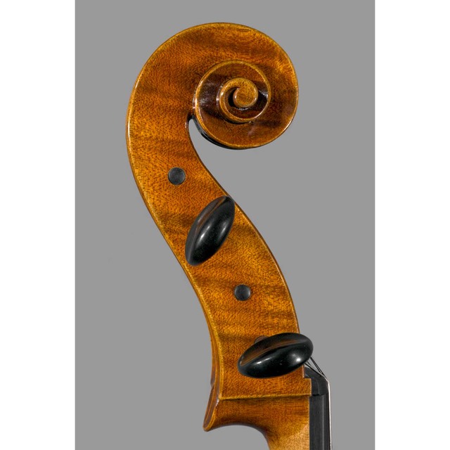 Photo of Polstein & White Gofriller model 'cello scroll side